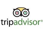 A logo with an owl

AI-generated content may be incorrect.